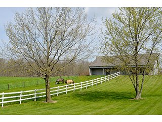 Property photo 102 - REAL ESTATE & PERSONAL PROPERTY AUCTION - 23.5+/- ACRES OFFERED IN 3 TRACTS OR COMBINATIONS IN EAST ALLEN COUNTY
